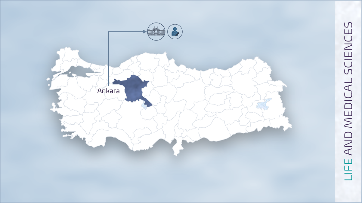 metin, ekran grnts, harita ieren bir resim

Aklama otomatik olarak oluturuldu